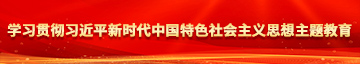 插美女骚B影院学习贯彻习近平新时代中国特色社会主义思想主题教育