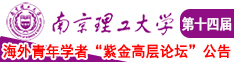 国产中文字幕骚南京理工大学第十四届海外青年学者紫金论坛诚邀海内外英才！